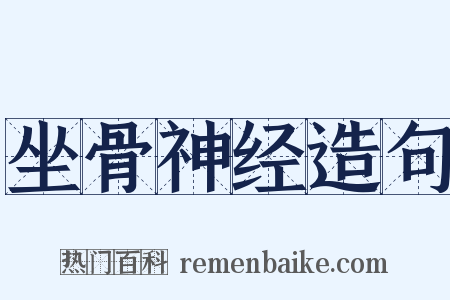 坐骨神经造句是什么意思的图片
